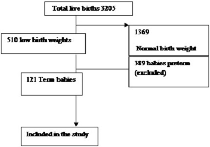 Maternal risk factors for term low birth weight neonates: a retrospective hospital based study at Guntur district, Andhra Pradesh