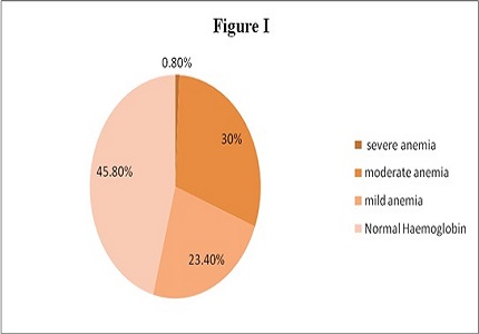 Association of BMI, socioeconomic status and menarche age with anemia in rural school going adolescent girls