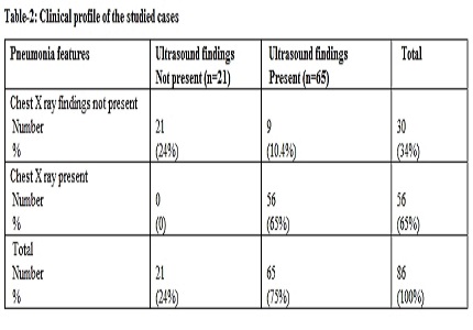 Relevance of lung ultrasound in diagnosis of severe neonatal pneumonia