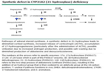 Congenital adrenal hyperplasia in a male neonate presenting as unresponsive sepsis