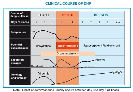 Study of use of fluid regulator in the fluid management of dengue fever in children in a rural tertiary care hospital