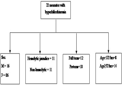 Hemodynamic changes during exchange transfusion in early neonatal period