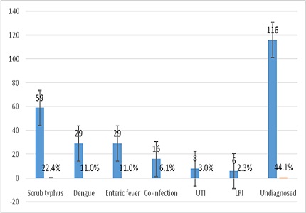 Aetiology and clinical spectrum of acute undifferentiated febrile illness in hospitalized children