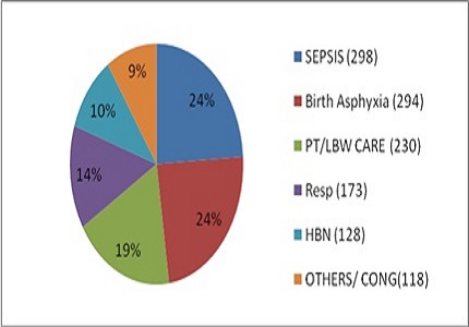 Morbidity and Mortality pattern of neonatal intensive care unit in a Medical College Hospital from South India