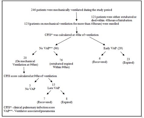Profile of Ventilator Associated Pneumonia in Children Admitted to Pediatric Intensive Care Unit of a Tertiary Care Center in India