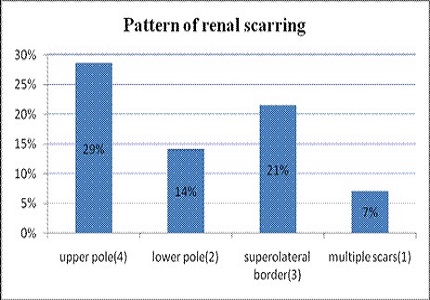 Assessment of renal parenchymal changes using isotope renography for genitourinary indications in pediatric age group-a study of 47 cases