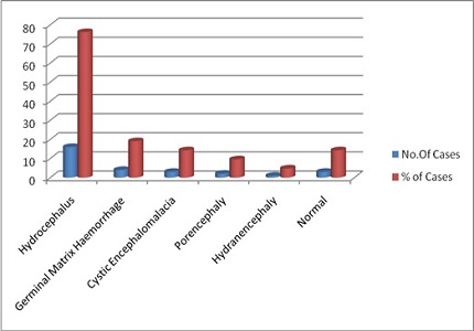 Role of cranial ultrasound for diagnosis of intracranial abnormalities in newborns